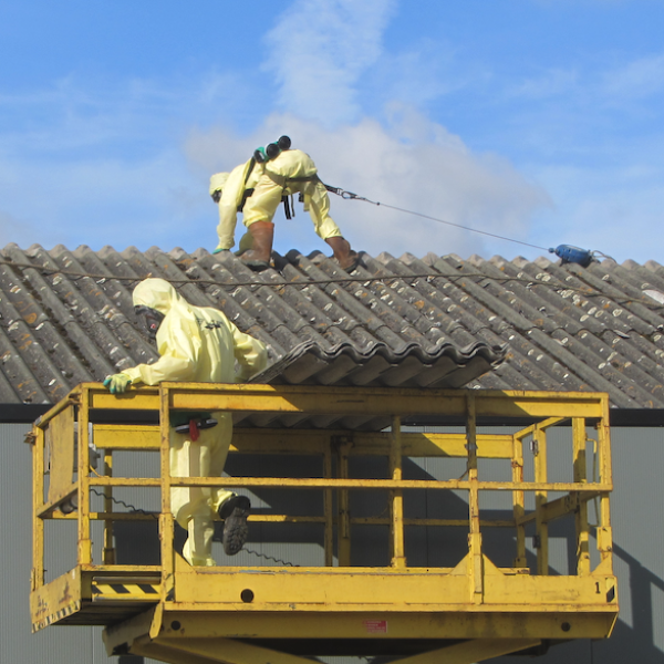 Biersteker Asbest en Renovatie