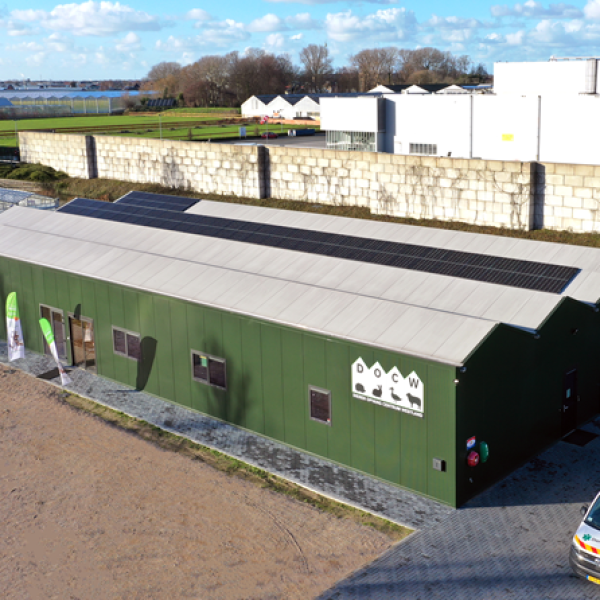 Dieren Opvang Centrum Westland