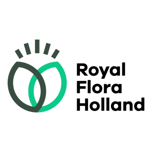 Flora Holland